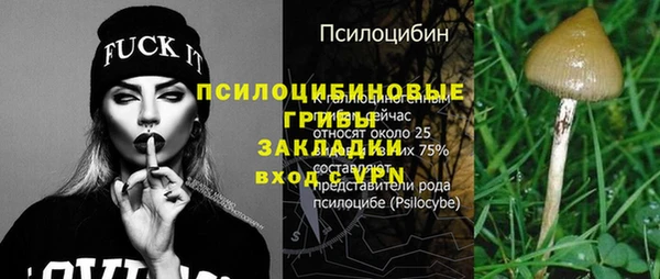 прущая мука Гусев