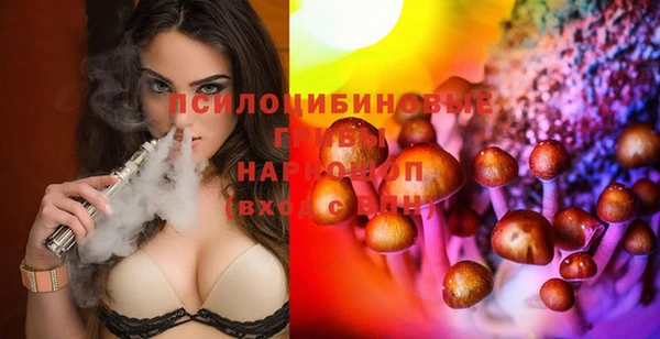дмт Гусь-Хрустальный