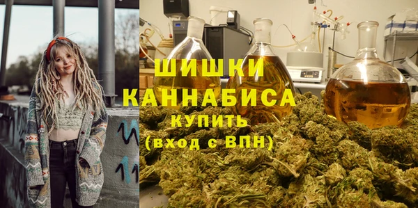 дмт Гусь-Хрустальный