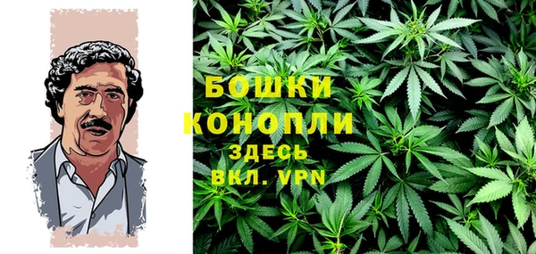 дмт Гусь-Хрустальный